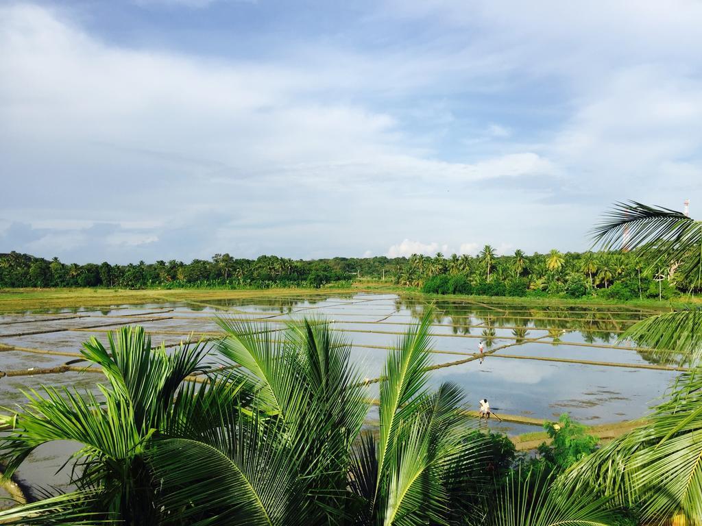 Rice Field View Home Stay Тангалле Номер фото